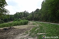 VBS_5487 - C'è un mare di velluto verde! E tu che sognavi di andare lontano... Quanta meraviglia, quì!